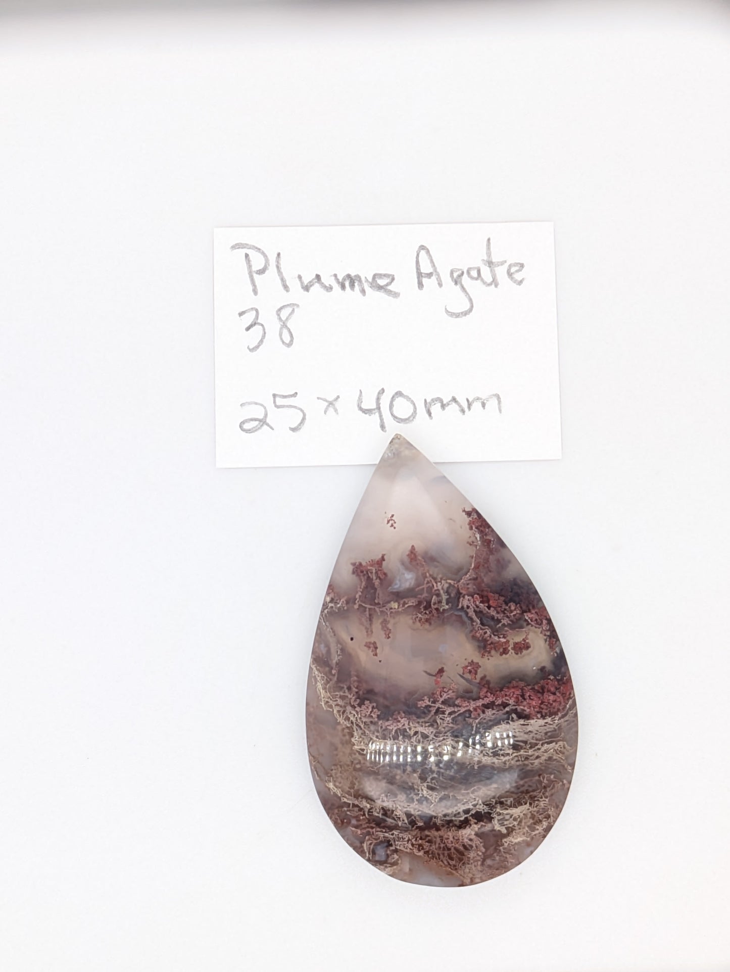 Plume agate Cabochon