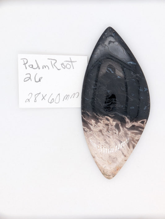 Palm Root Cabochon