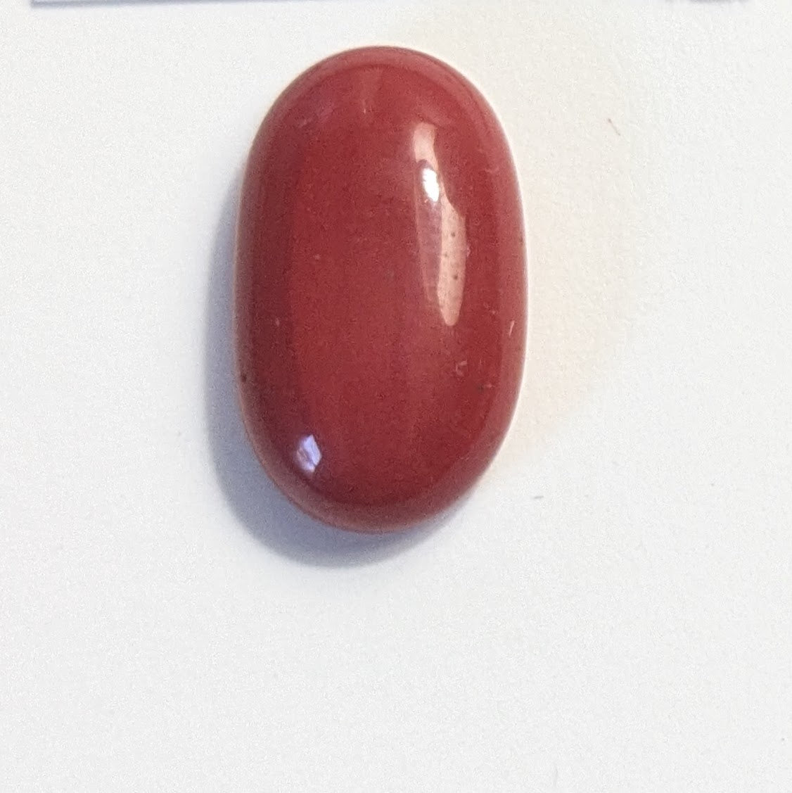 Italian Coral Cabochon
